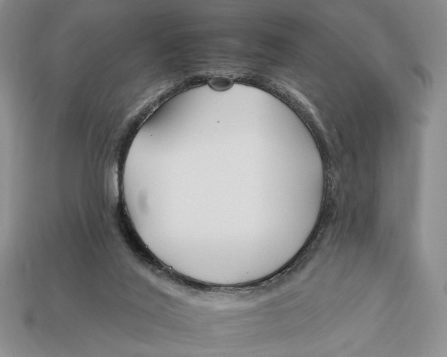 X0000112930020200909211122