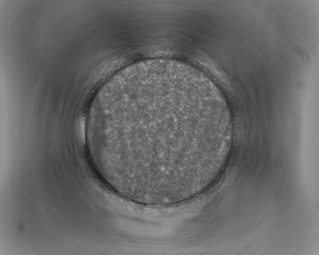 X0000112930022200909211122
