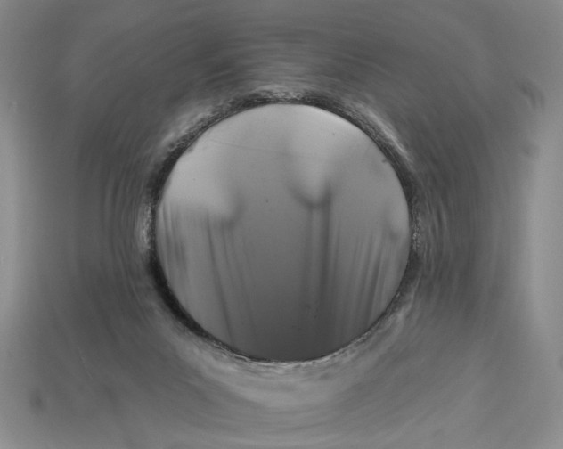 X0000112930023200909211122