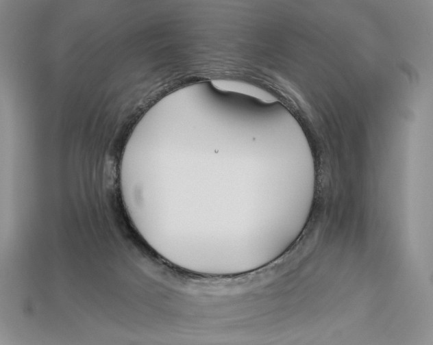 X0000112930025200909211122