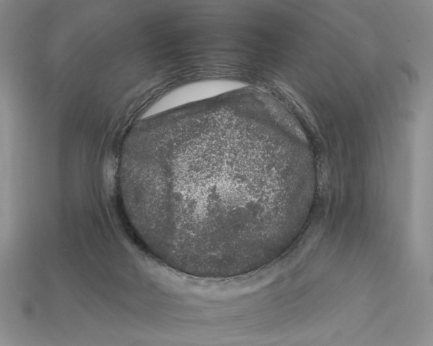 X0000112930026200909211122