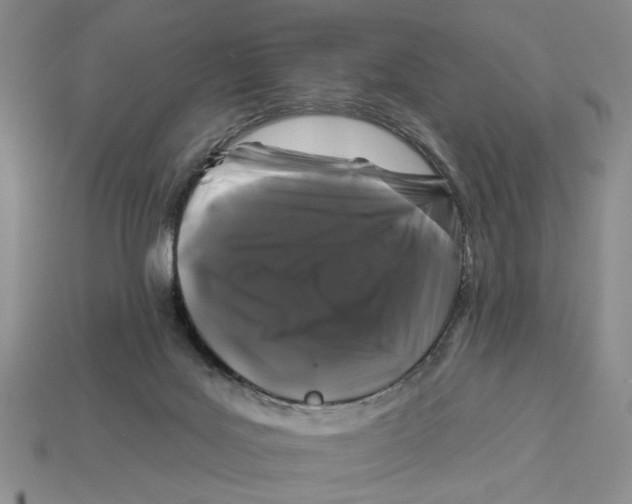 X0000112930027200909211122