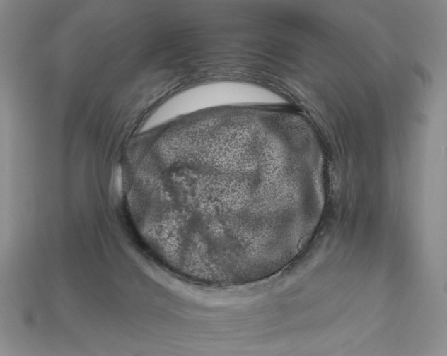 X0000112930028200909211122