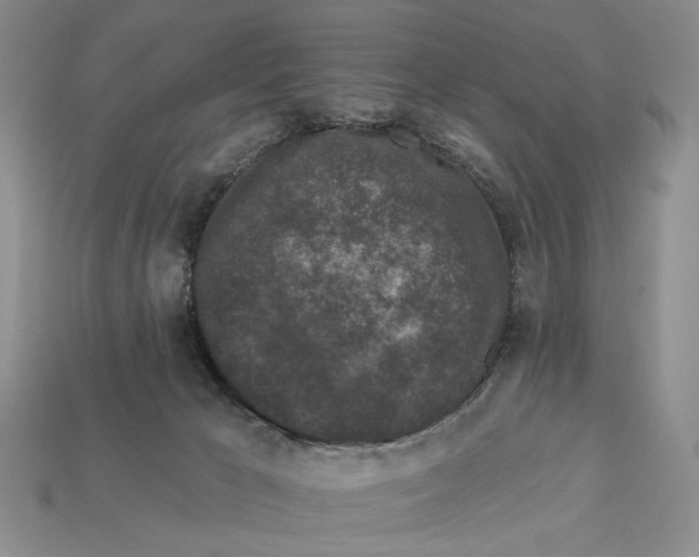 X0000112930029200909211122