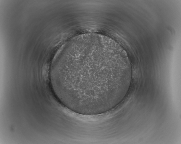 X0000112930030200909211122