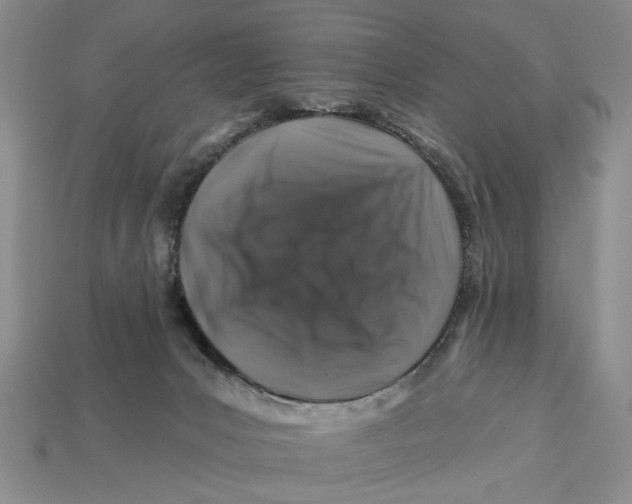 X0000112930031200909211122