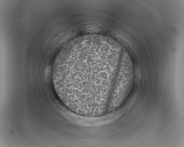 X0000112930034200909211122