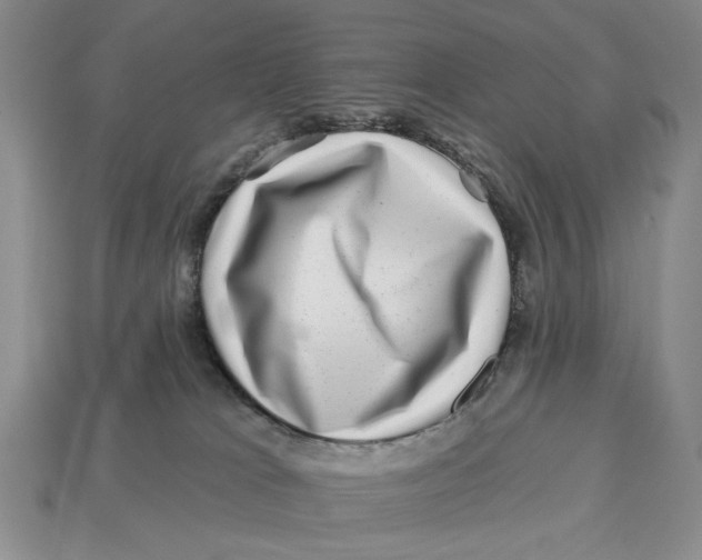 X0000112930037200909211122