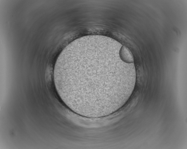X0000112930038200909211122