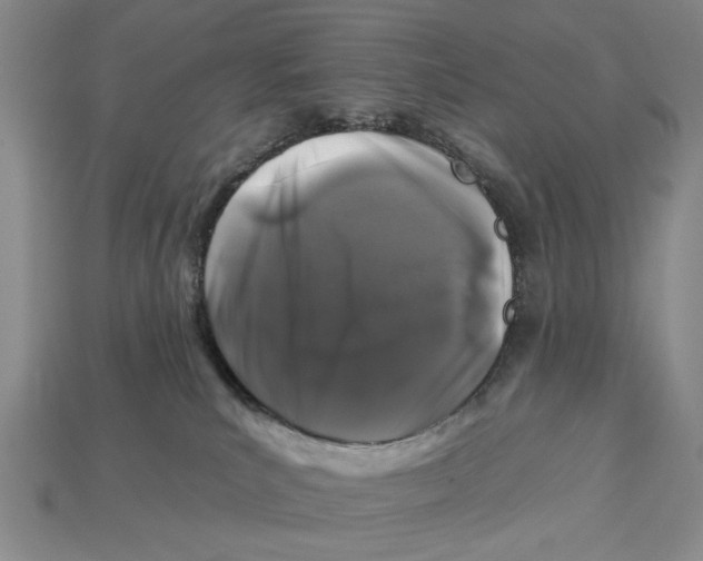 X0000112930039200909211122