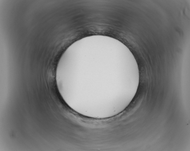 X0000112930040200909211122