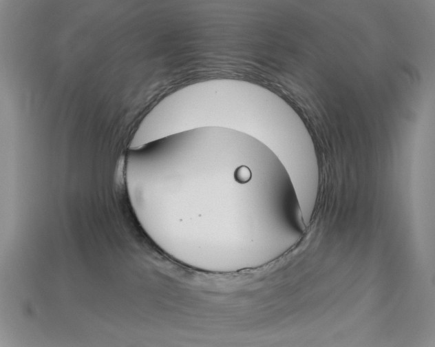 X0000112930041200909211122