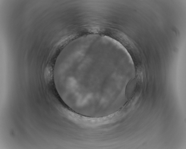 X0000112930043200909211122