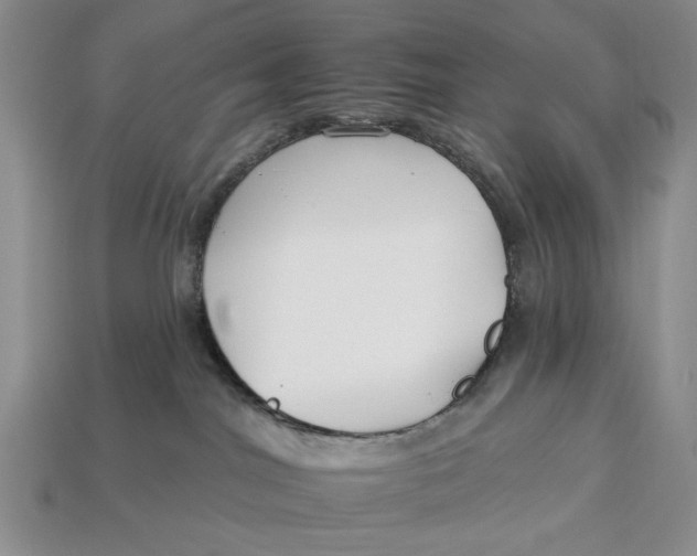 X0000112930044200909211122