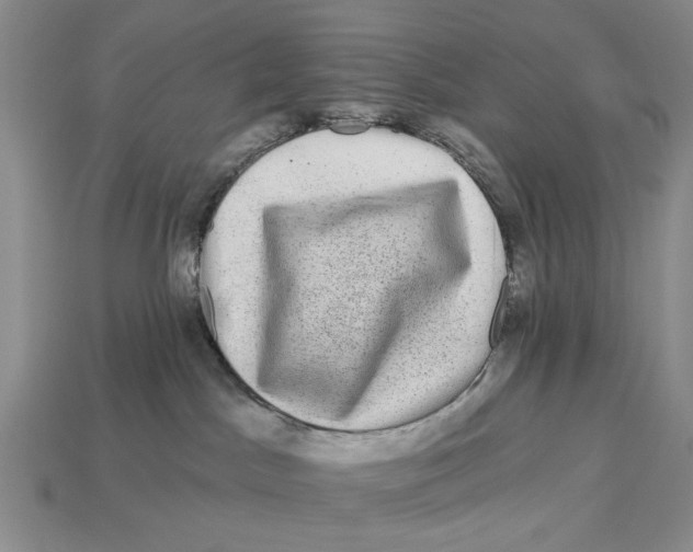 X0000112930045200909211122