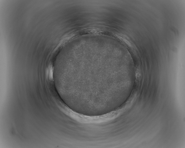 X0000112930046200909211122