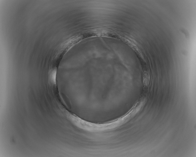 X0000112930047200909211122