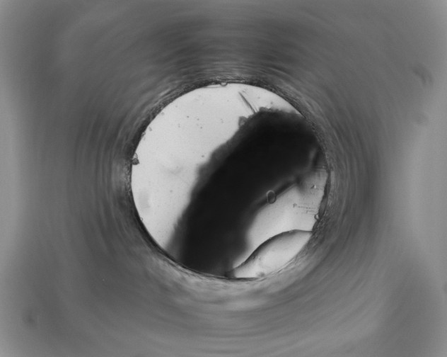 X0000112930048200909211122