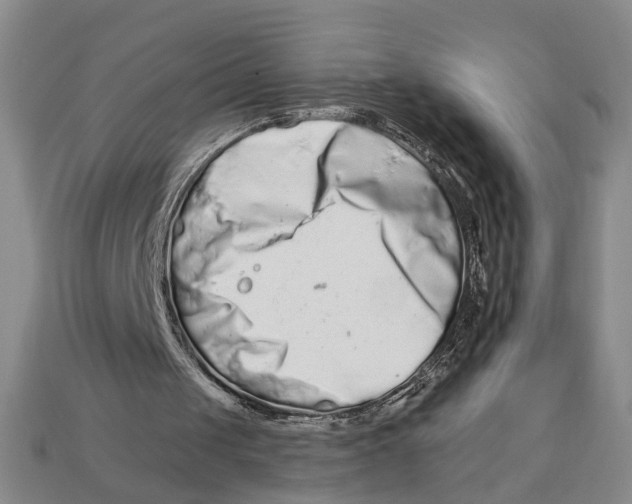 X0000112930049200909211121