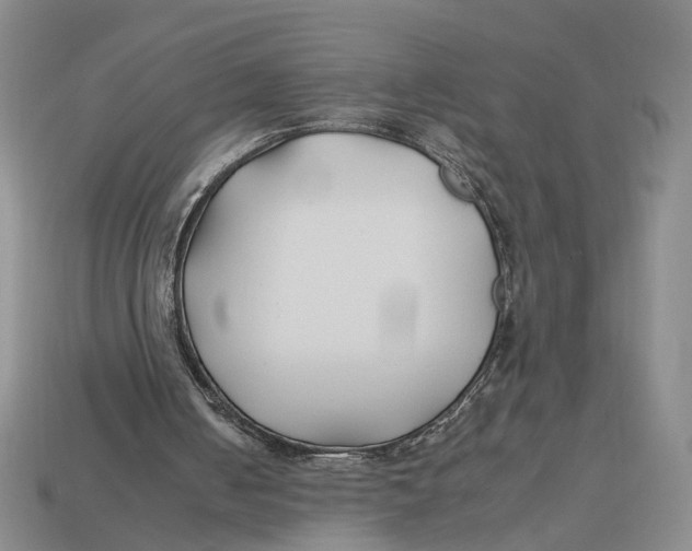 X0000112930050200909211121
