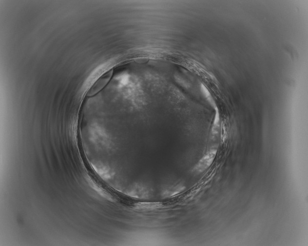 X0000112930051200909211121