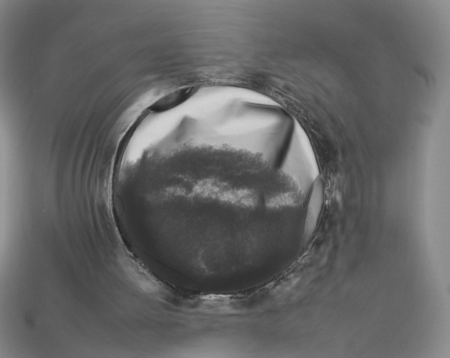 X0000112930052200909211121