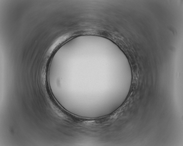 X0000112930054200909211121
