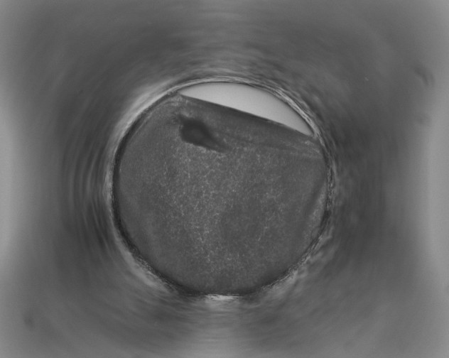 X0000112930055200909211122