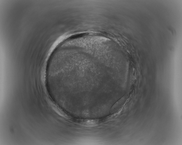 X0000112930056200909211122