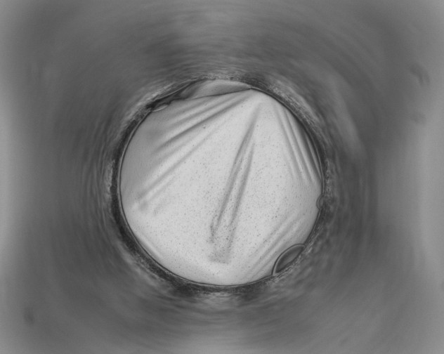 X0000112930058200909211122