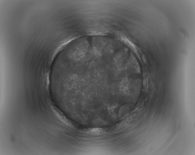 X0000112930059200909211122