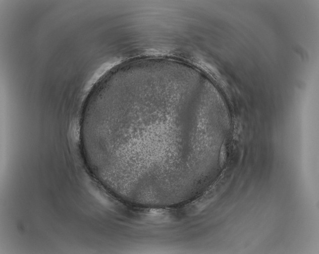 X0000112930060200909211122