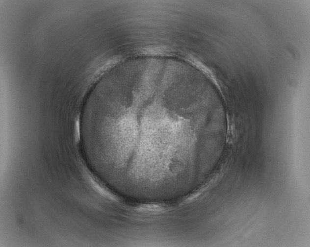 X0000112930061200909211122