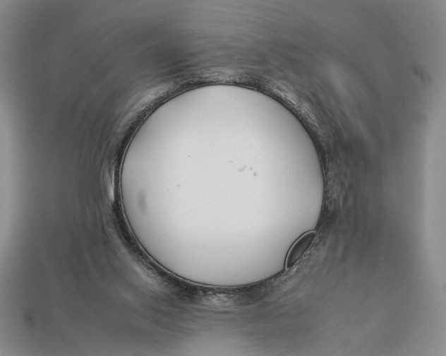 X0000112930062200909211122