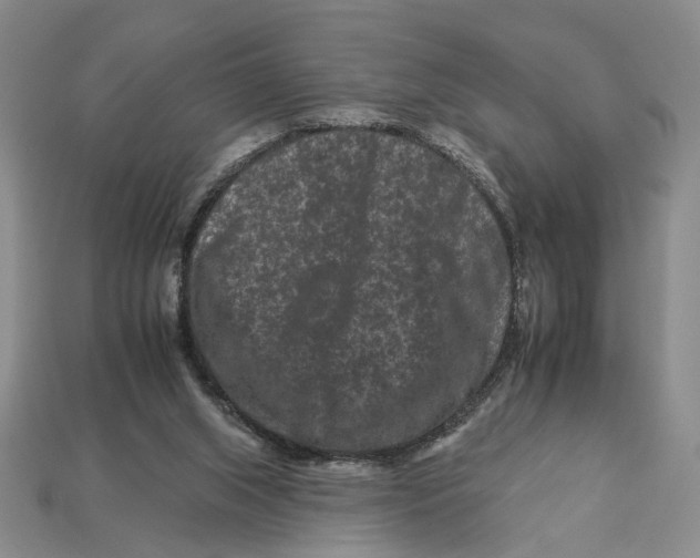 X0000112930063200909211122