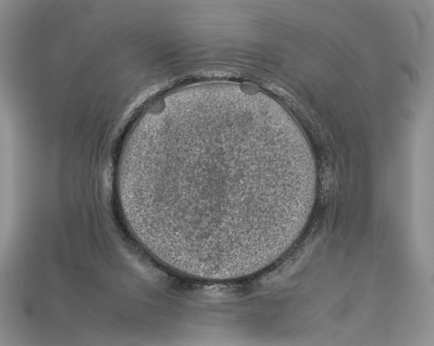 X0000112930064200909211122