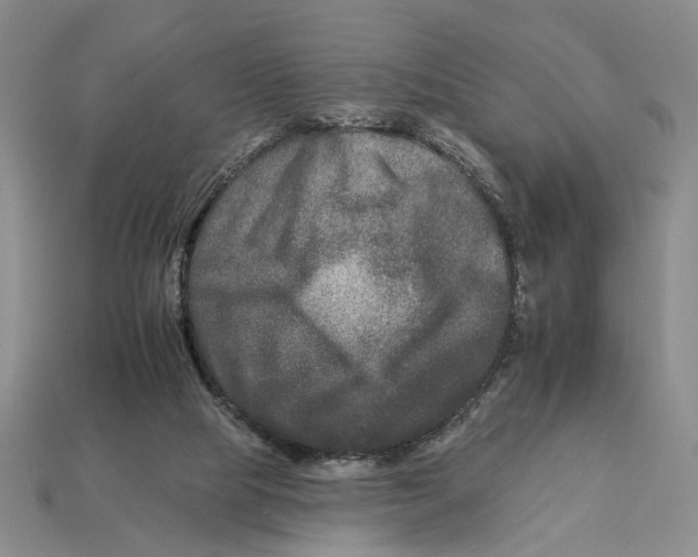 X0000112930065200909211122