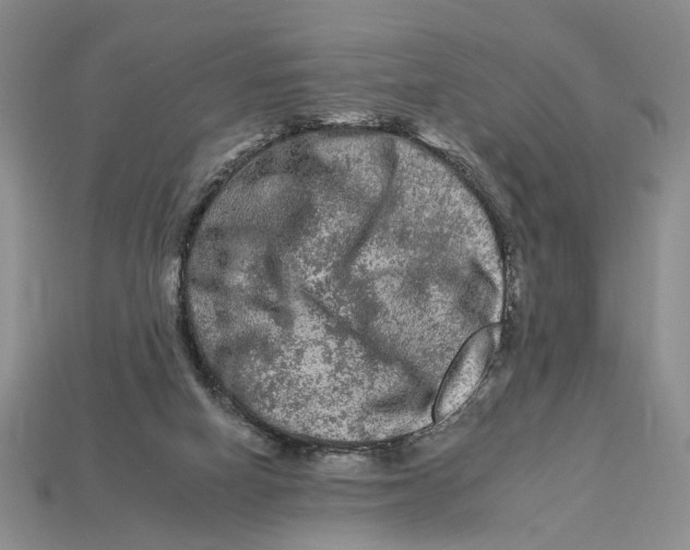 X0000112930066200909211122
