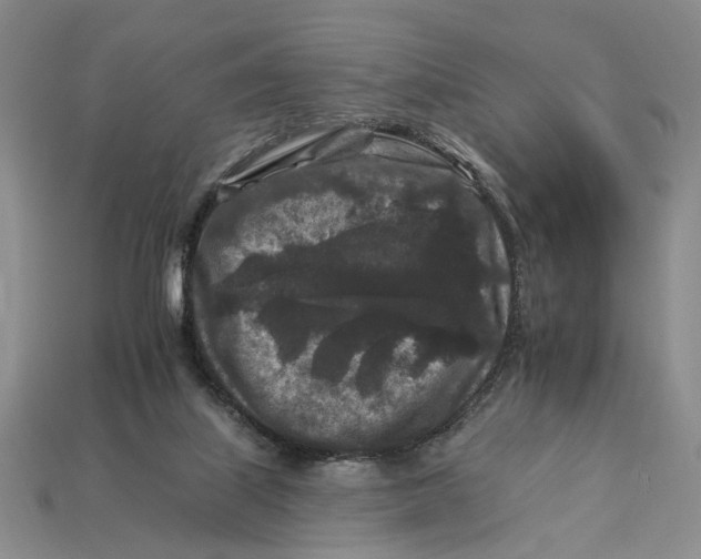 X0000112930067200909211122