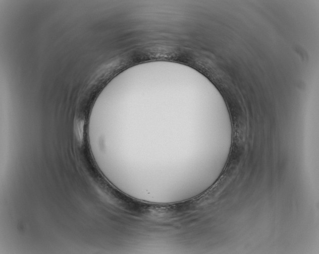X0000112930070200909211122