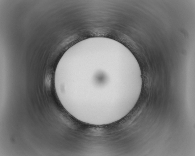 X0000112930071200909211122