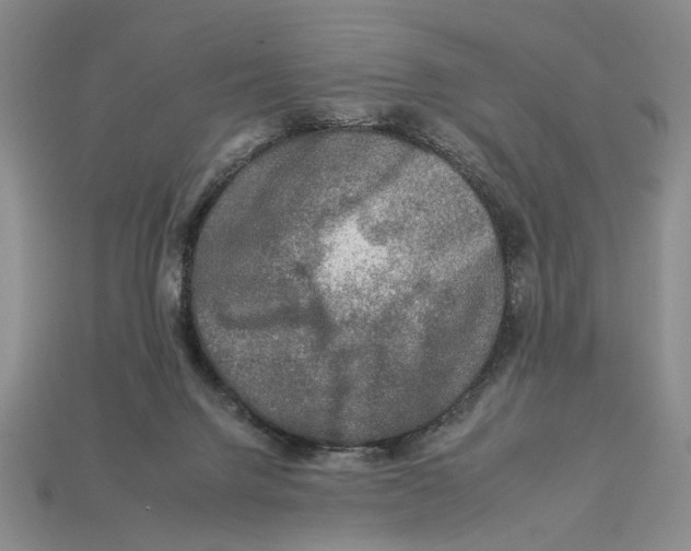 X0000112930072200909211122