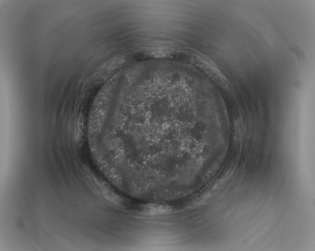 X0000112930073200909211122