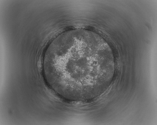 X0000112930074200909211122