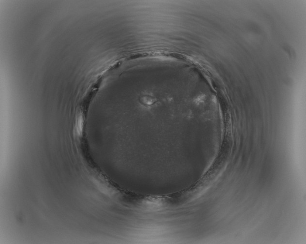 X0000112930076200909211122