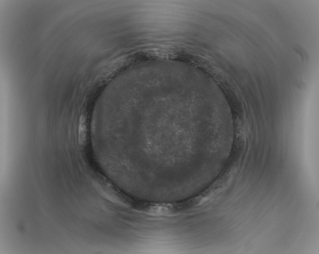 X0000112930080200909211122