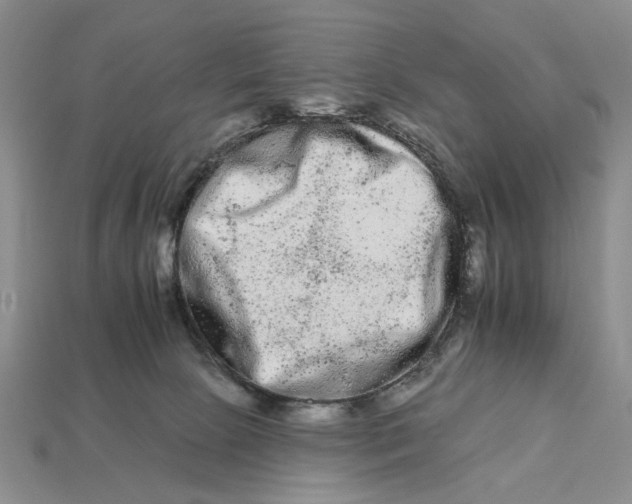X0000112930081200909211122