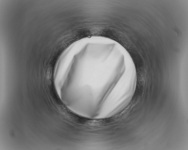 X0000112930082200909211122