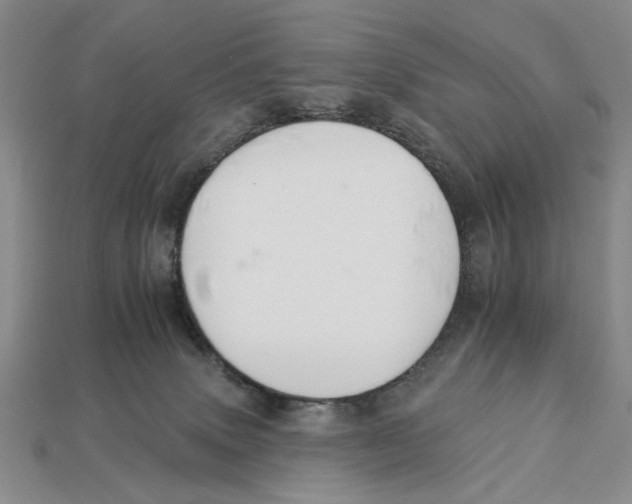 X0000112930083200909211122