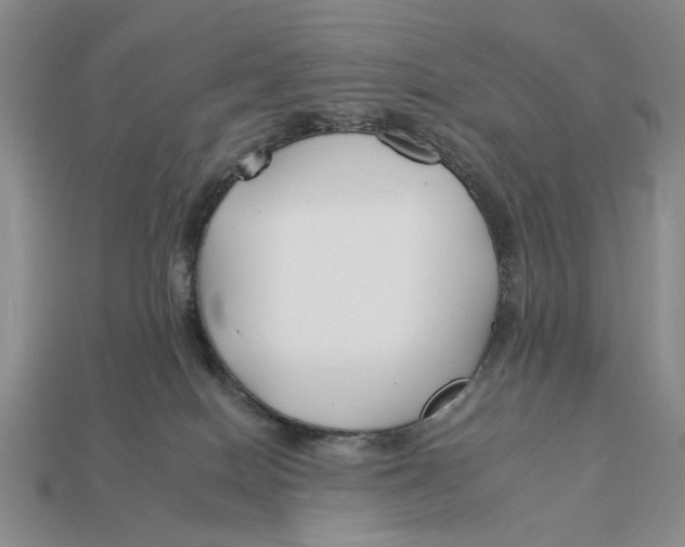 X0000112930086200909211122